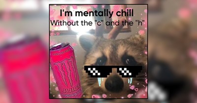 24 Mindful Pets Practicing Purrfect Poise and Stillness For a Quiet Day