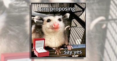Propose to Your Loved One with these 25 Engagement Memes That Will Have Them Saying 'Yes' to the LOL
