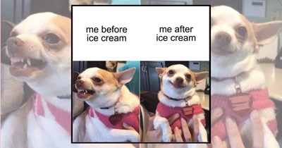 30+ Ice Cream Memes to Melt Your Bad Mood Away One Scoop at a Time