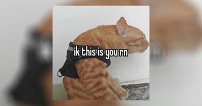 25 Memes Fighting the Good Fight