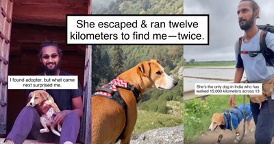 'She chose her human and never looked back': Backpacker traveling across India by foot finds a home for stray puppy, but ends up adopting her after she escapes "home" twice to find him
