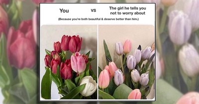 POV: You're a Funny Fairy Spreading These 23 Whimsical Memes Throughout the Tulip Patch 