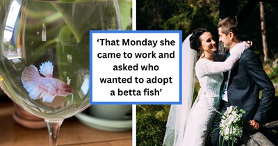 Coworker saves whole wedding of betta fish after bride and groom planned to use them as "disposable" centerpieces, coworker says: '[She] insisted on taking them all home'