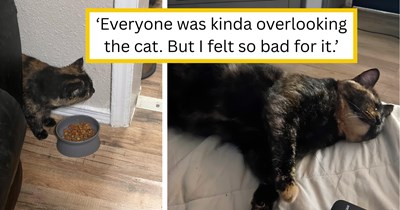 'I didn’t want her in a shelter': A work call that meant more than expected led one employee to a tortoiseshell cat left behind, and straight into the arms of a new love