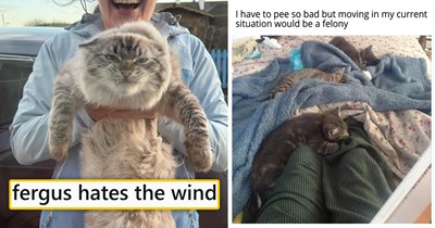 Your Weekly Caturday Meowgazine: 20 I Can Has Meowments Featuring Cats at Their Goofiest and Most Awwdorable (May 2, 2026)