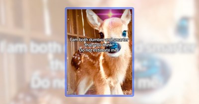 A Fawn-Filled Woodland of 21 Wholesome Deer Memes