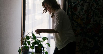 Landlord invents 'biology fee,' charges tenant $5/month per houseplant: 'This building is already a crumbling mess'