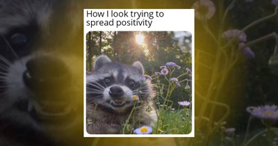 A Cuteness Kerfuffle of 21 Animal Memes to Lighten Up the Mood