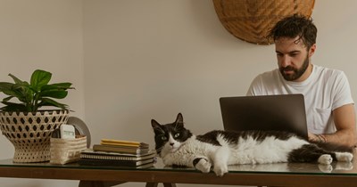 ‘My cat has officially been cleared of all charges’: Neighbor shows up to accuse a man's cat of fathering her cat's kittens, delivers a five-minute rant, before learning he's been neutered for four years