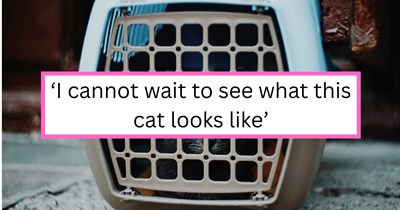Woman forced to give up her seat on Alaska Airlines because of a "giant cat" who demands the aisle seat to himself: ‘Instead of just letting the cat have the middle seat, they moved me’