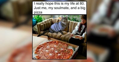 24 Sassy Little Meow Machines for Your Daily Dose of Dopamine