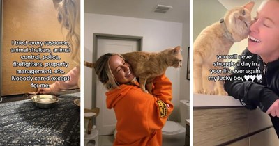 Cat gets abandoned by evicted owners, concerned neighbor feeds him under the door until she finds a way to get him out of the empty apartment, she says: ‘I am so happy I noticed’