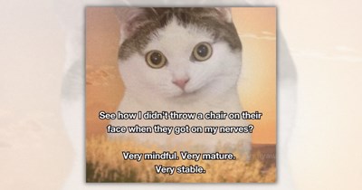 22 Feline Funnies of Purrfectly Professional Cats Channeling Your Wednesday Work Mood