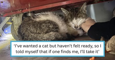 Woman who didn't feel ready to adopt a feline lets fate decide, then a sweet stray mama cat chooses her at the purrfect time: 'My life is so happy now'