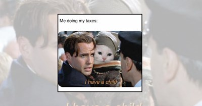 23 Cat Pawrent Memes for Hoomans Devoted to Their Furry Bosses