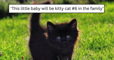 'This is the first kitten I have received directly from the system': Tiny black street kitten rescued from traffic outside husband’s job becomes cat number six after instantly bonding with him