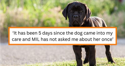 Mother in law dumps 7-year-old dog with daughter in law because of financial problems, then buys a cane corso puppy two days later, daughter in law says: ‘They couldn't afford a vet bill so they shouldn't be able to afford another puppy’