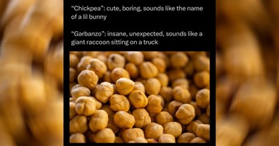 A Mouthful of Hilarious Cooking Memes for Amateur Chefs