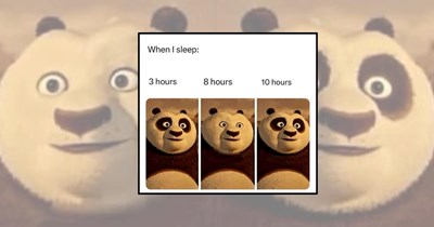 21 Kung Fu Panda Memes Still Carrying a Little Skadoosh Energy From Childhood