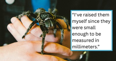 Tarantula owner refuses to let neighbors spray pesticides on her property, claiming her pet is more important than neighbor’s fear of insects: 'She's 10 years old and her name is Churro'