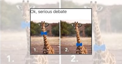 21 Giraffe Memes Giving You a Tall Dose of Happiness