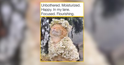28 Sunny Little Kitties Ready for Summertime Excitement