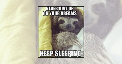 21 Sloth Memes Taking Their Sweet Time to Make You Laugh