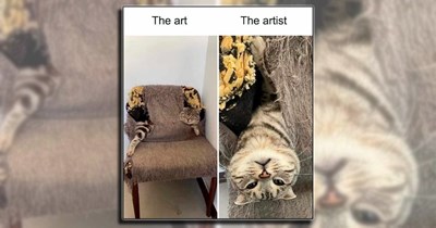 'Art vs the artist': 21 Creative cats who are the talent, the muse, and the MEOWsterpiece