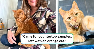 Shop cat befriends a customer who recently lost her old feline friend, offering a deal to heal her broken heart: 'We were back the very next evening and took her home.'