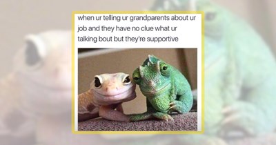 Scaly Smiles: 22 Lizard Memes to Warm Your Cold-Blooded Heart
