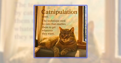 32 Feline Funnies Featuring the Sass You Know From Your Cat