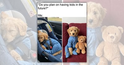 30 Pawsitive Pupper Posts for Pawrents Who Know That the Secret to a Happy Life is Doge