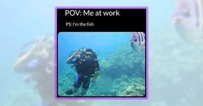 30 Funny Memes to Deep Dive With Some Aquatic Animals Absurdity