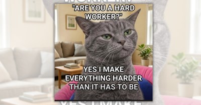 27 Feisty Feline Funnies for People Manifesting a Long Weekend of Doing Absolutely Nothing
