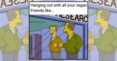24 Plant Based Memes for Vegans Handling “How Do you Replace Meat?” Questions Like a Champion