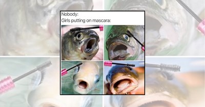 22 Fin-tastic Fish Memes Splashing Smiles Across Screens
