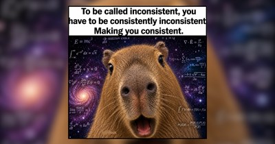 30+ May Memes of Mawrvelous Animals for Midweek Meltdowns