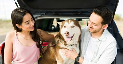 Dog owner decides to break up with partner of 5 years after she demands he rehome their 4-year-old dog: ‘I'm going to have to choose my dog over her'