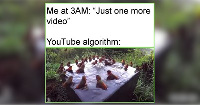 22 Birds Cuckooing Like an Old Fashioned Clock to Countdown to Weekend