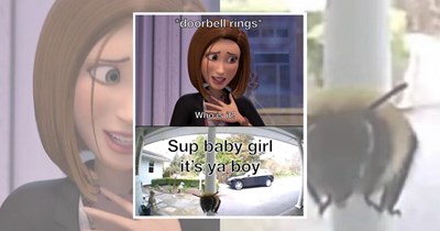 24 Bee Movie Memes That Remind You That If a Human Fell In Love With a Bee, Your Crush Can Fall In Love With You Too