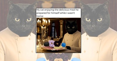 ‘Tiny paws, maximum flavor’: 23 Meowgical Cat Chefs Ready to Season Your Day With Cuteness