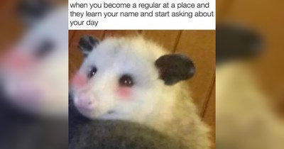 The Best Heartwarmingly Wholesome Memes and Posts of the Week