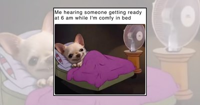 'This blanket understands me': 21 Bed memes for sleepy people living for the thrill of hitting snooze for just five more minutes