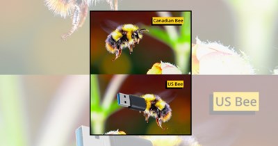 'Hive never been better': 21 Bee memes pollinating positivity and spreading sweet as honey smiles
