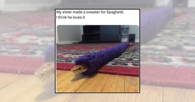 'Sssweet and ssslippery': 21 Snake memes sliding into your feed shedding good vibes