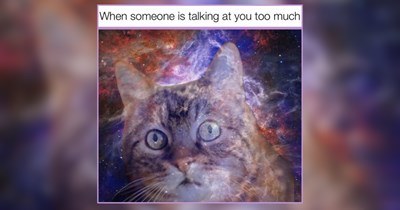 22 Existential Kitties Spiraling Through Tiny Cat Chaos 