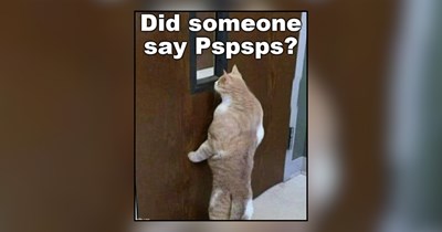 28 Meowvelous Memes of Cats Responding to the Universal Power of Pspsps