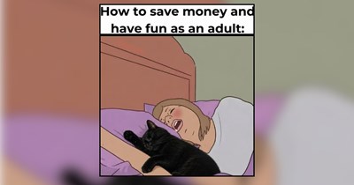 A Midweek Delight of Morning Cat Memes for Coffee and Cuddles Before Work 