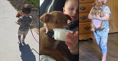 A mom finds a tiny puppy whining under her porch after a small flood, takes her in and becomes best friends with her 2-year-old son: ‘Anything for my baby boy!’