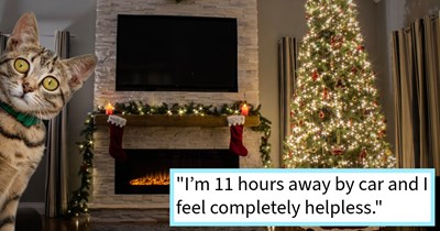 Missing cat found after pulling off Home Alone style stunt by slipping out the front door unnoticed and going on the lam for days after pawrents leave for xmas vacation, relieved cat dad says: ‘This is the only Christmas present I really wanted.’